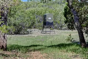 419 Yellowstone Ln, Hunt, TX 78024 - Photo 52