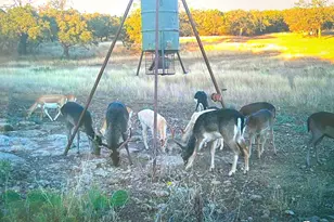 419 Yellowstone Ln, Hunt, TX 78024 - Photo 24