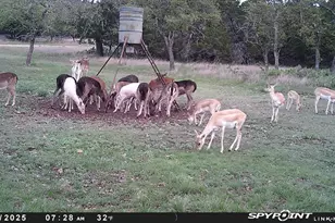 419 Yellowstone Ln, Hunt, TX 78024 - Photo 10