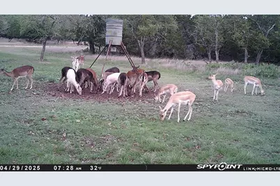 419 Yellowstone Lane, Hunt, TX 78024 - Photo 10