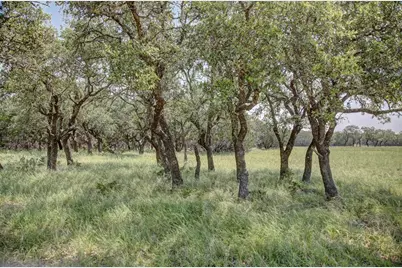 419 Yellowstone Lane, Hunt, TX 78024 - Photo 60