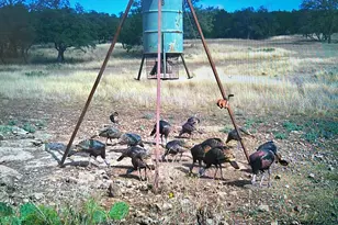 419 Yellowstone Ln, Hunt, TX 78024 - Photo 54