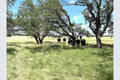 Lot 10 S Ranch Rd 783, Harper, TX 78631 - Photo 1