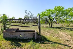 453 Reeves Ln, Harper, TX 78631 - Photo 30