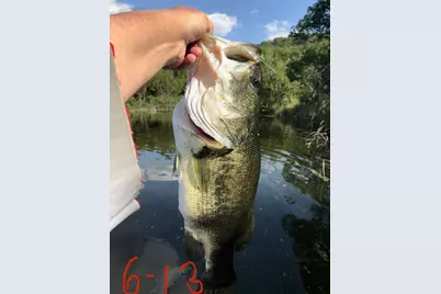 1519 Brushy Top Trail, Blanco, TX 78636 - Photo 18