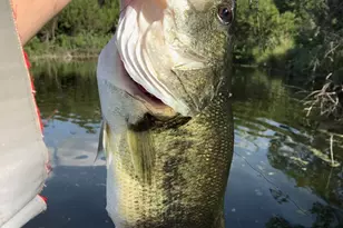 1519 Brushy Top Trail, Blanco, TX 78636 - Photo 18