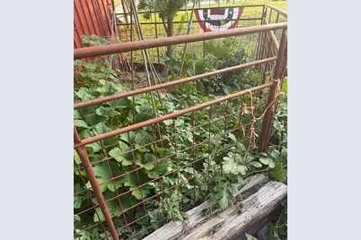 117 N Reading Ave, Center Point, TX 78010 - Photo 24