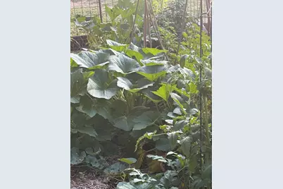 117 N Reading Ave, Center Point, TX 78010 - Photo 22