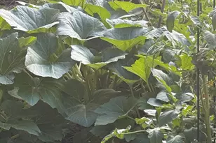 117 N Reading Ave, Center Point, TX 78010 - Photo 22