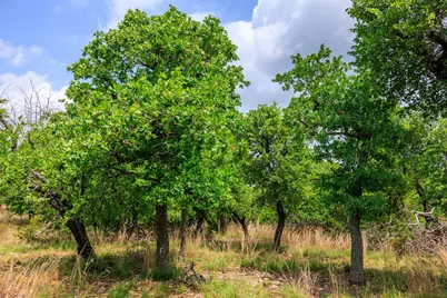 2050 Adj Lane, Fredericksburg, TX 78624 - Photo 56
