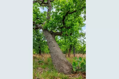 2050 Adj Lane, Fredericksburg, TX 78624 - Photo 52