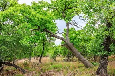 2050 Adj Lane, Fredericksburg, TX 78624 - Photo 18