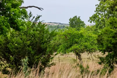 2050 Adj Lane, Fredericksburg, TX 78624 - Photo 66