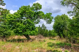 2050 Adj Ln, Fredericksburg, TX 78624 - Photo 22