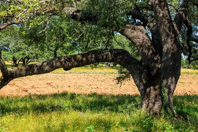 3736-5 County Rd 113, Llano, TX 78643 - Photo 1