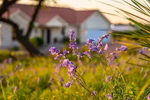 289 Scenic Outlook Trail, Fredericksburg, TX 78624 - Photo 4