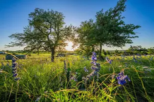 289 Scenic Outlook Trail, Fredericksburg, TX 78624 - Photo 46