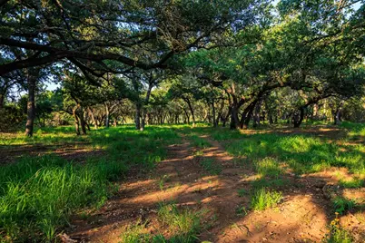 111 County Rd 113, Llano, TX 78643 - Photo 30