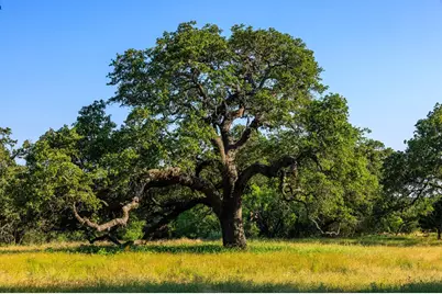 111 County Rd 113, Llano, TX 78643 - Photo 28