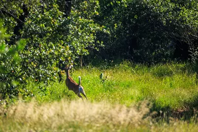 111 County Rd 113, Llano, TX 78643 - Photo 24
