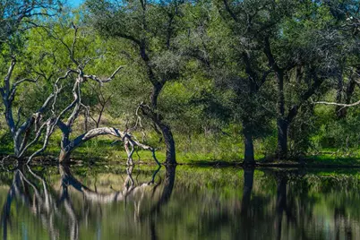 000 County Rd 102, Llano, TX 78643 - Photo 34