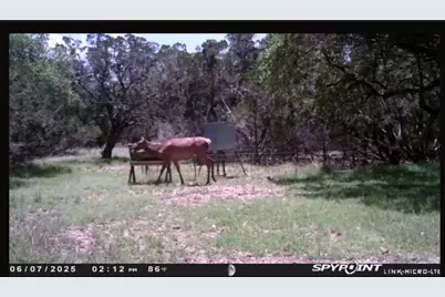 180 Bee Hive Rd, Hunt, TX 78024 - Photo 20