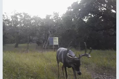 180 Bee Hive Rd, Hunt, TX 78024 - Photo 34