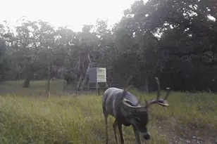 180 Bee Hive Rd, Hunt, TX 78024 - Photo 34