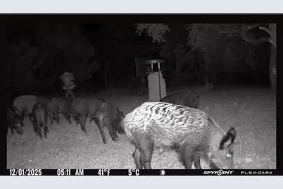 180 Bee Hive Rd, Hunt, TX 78024 - Photo 10