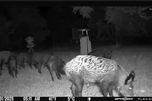 180 Bee Hive Rd, Hunt, TX 78024 - Photo 10