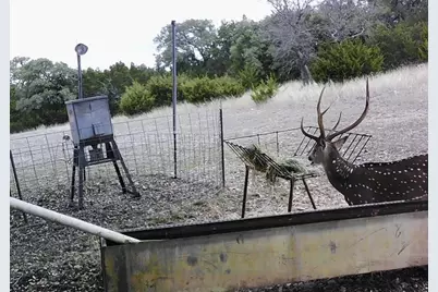 180 Bee Hive Rd, Hunt, TX 78024 - Photo 14