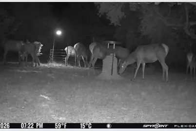 180 Bee Hive Rd, Hunt, TX 78024 - Photo 54