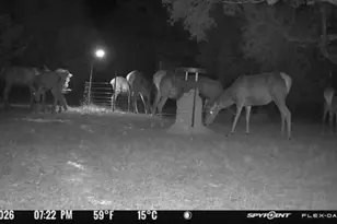 180 Bee Hive Rd, Hunt, TX 78024 - Photo 54