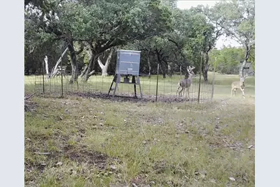 180 Bee Hive Rd, Hunt, TX 78024 - Photo 36