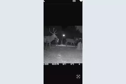 180 Bee Hive Rd, Hunt, TX 78024 - Photo 52