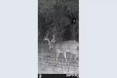 180 Bee Hive Rd, Hunt, TX 78024 - Photo 12