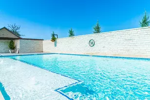 170 Goose Landing Way, Harper, TX 78631 - Photo 68