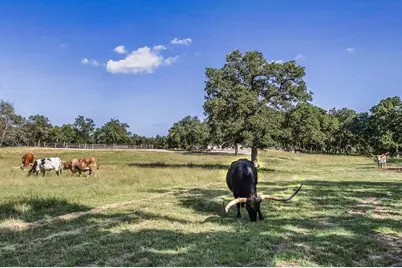 451 Achtzehn Rd, Fredericksburg, TX 78624 - Photo 4