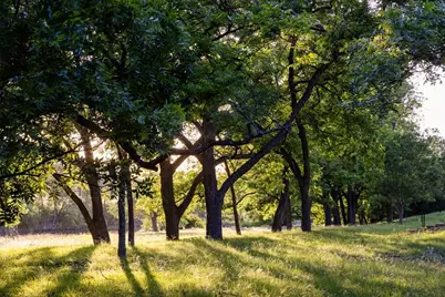 150 Dickey Rd, Ingram, TX 78025 - Photo 56