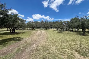 5078 Friedrich Rd, Fredericksburg, TX 78624 - Photo 38