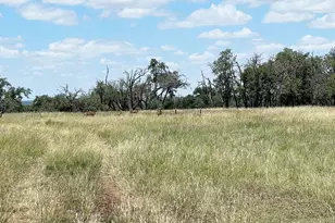 5078 Friedrich Rd, Fredericksburg, TX 78624 - Photo 42