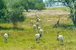 170 Goose Landing Way, Harper, TX 78631 - Photo 72