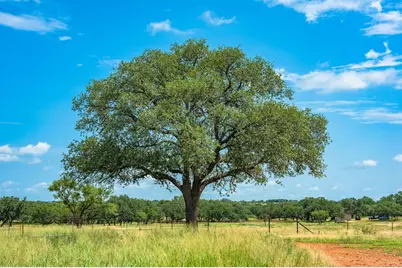 2602 County Rd 406, Llano, TX 78643 - Photo 24