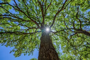 221 Pyka Rd, Fredericksburg, TX 78624 - Photo 26