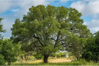 7602 County Rd 113, Llano, TX 78643 - Photo 38