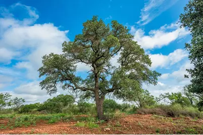 7602 County Rd 113, Llano, TX 78643 - Photo 50