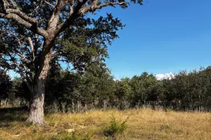 103 Lee Hall, Blanco, TX 78606 - Photo 1