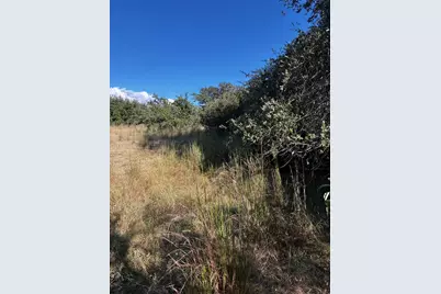 103 Lee Hall, Blanco, TX 78606 - Photo 10