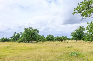 11453 N US Hwy 87, Fredericksburg, TX 78624 - Photo 40