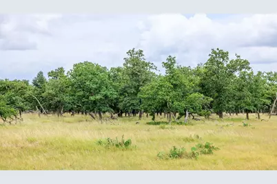 11453 N US Hwy 87, Fredericksburg, TX 78624 - Photo 42